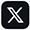 X Icon