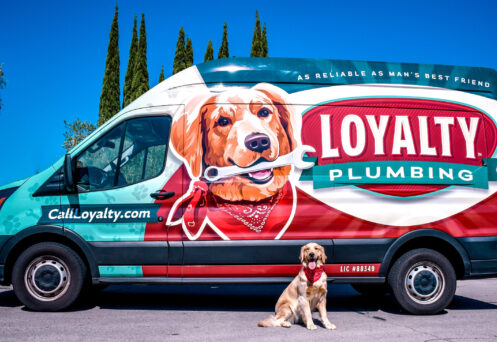 Loyalty Plumbing Services in Las Vegas, NV